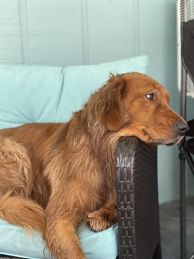 Oakley