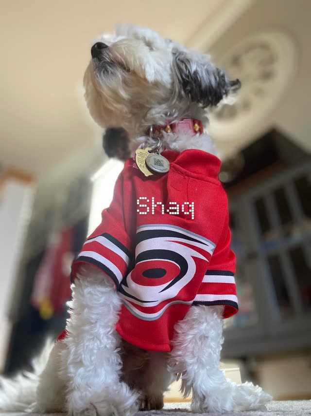 Shaq