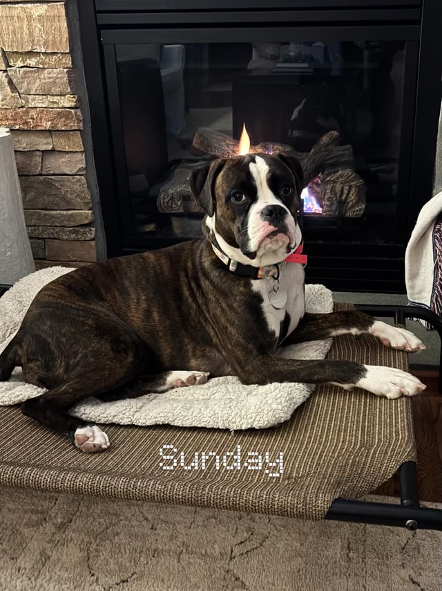 Sunday