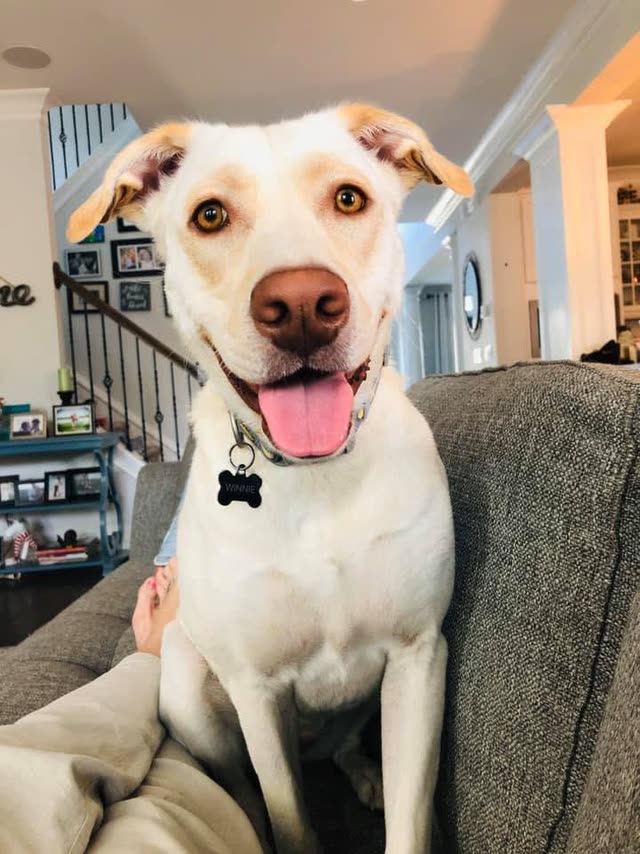 Winnie